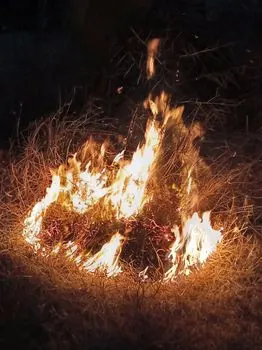 Пожар — Fire