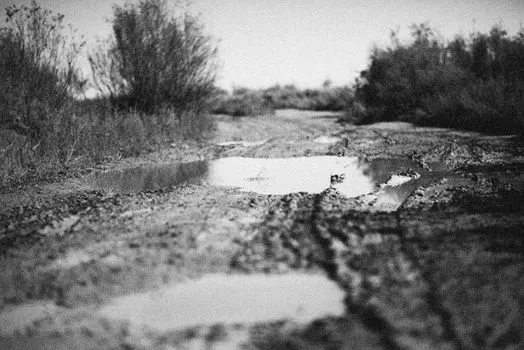 Болото — Bog