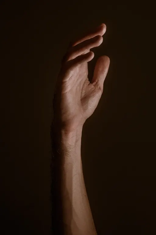 wrist — poignet