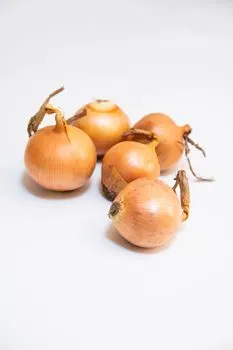 Zwiebel — oignon