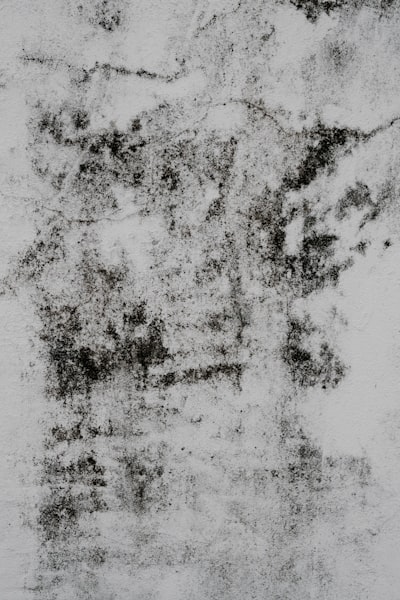 grunge — grunge
