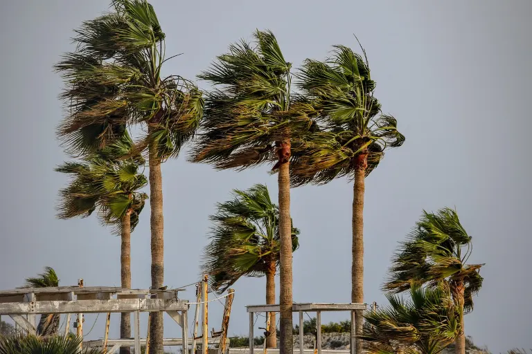 gale winds — vents de tempête