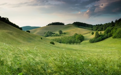 collines — Hills