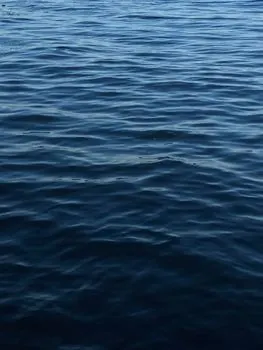 float — flotar