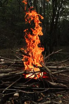 Сожженный — Torched