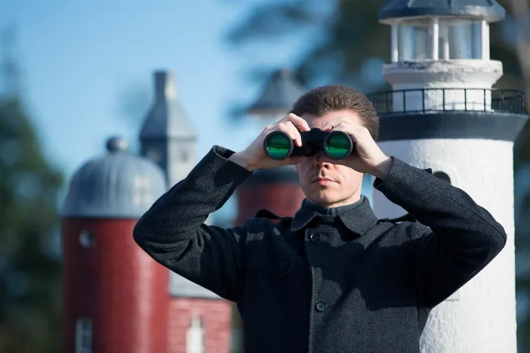 look into — examiner
