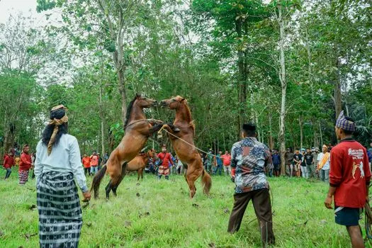 Ценное коневодство — Valuable horse breeding
