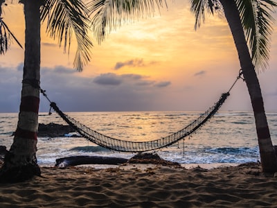 hamac — hammock