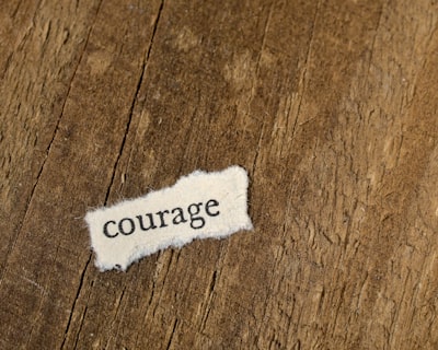 bravoure — bravery