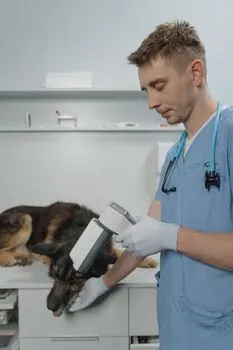 čip — microchip