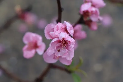 april — nisan