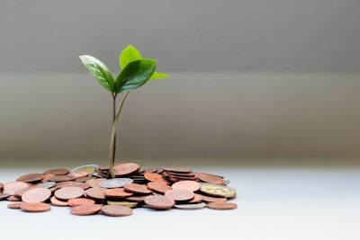 Coût d'opportunité — Opportunity cost