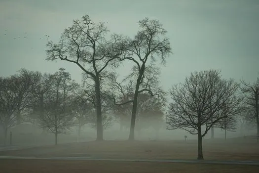 novembar — November
