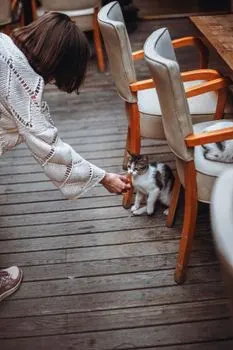 Možeš li da mi čuvaš mačku? — Poți să ai grijă de pisica mea?