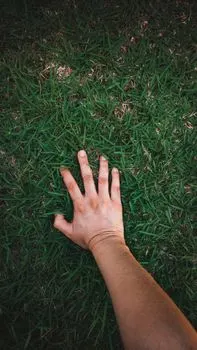 выйди на улицу — touch grass