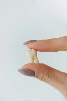 tooth — diente