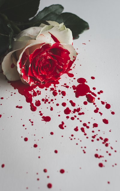 Blut — sang