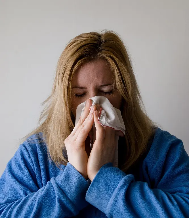 flu — grippe