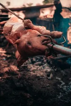Свинина — Schweinefleisch