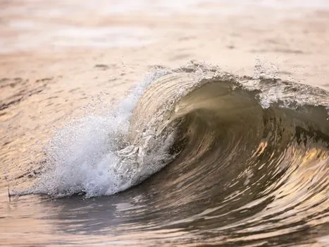 wave — ola