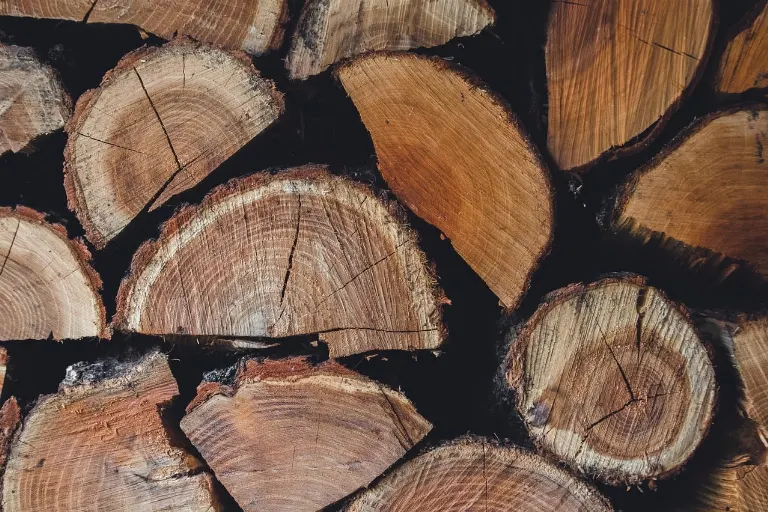 log — bûche