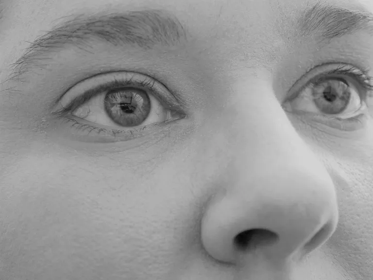 nasal — nasal