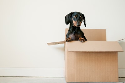 déménageurs — movers