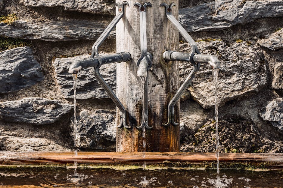 tap water — eau du robinet