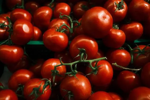 paradajz — tomato