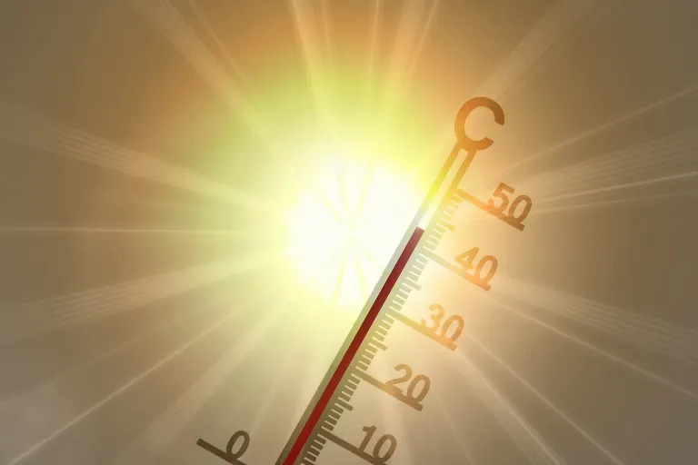 heatwave — canicule