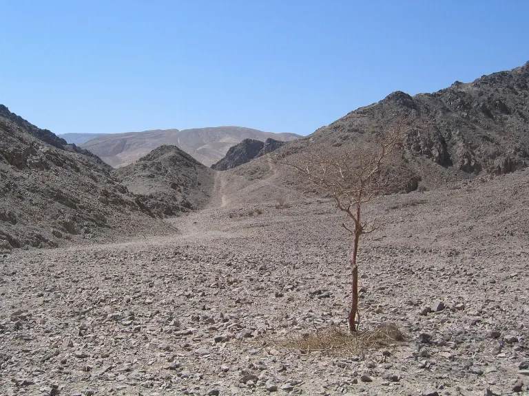 harsh environment — milieu hostile