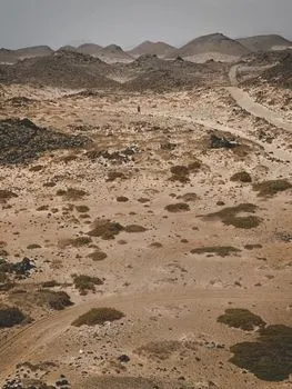 Wasteland — terrain vague