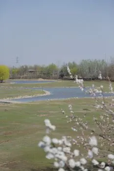 Наступила весна, и погода прекрасная. — Estamos en primavera y hace buen tiempo.