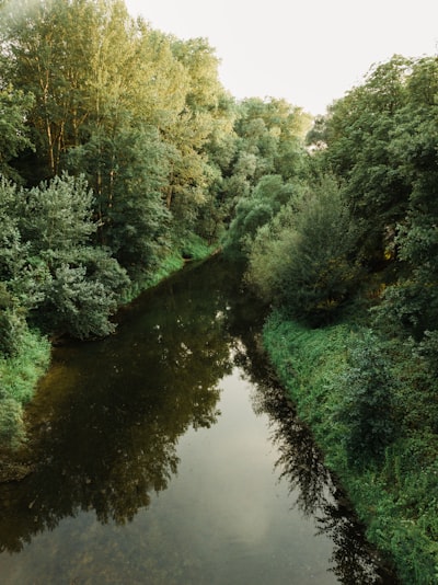 Untreated — non soigné