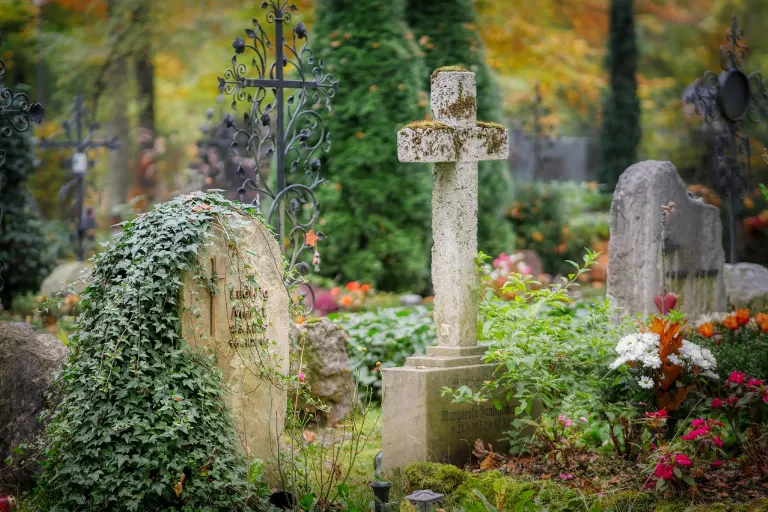 mortality — mortalité