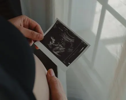 Эмбрион — embryo
