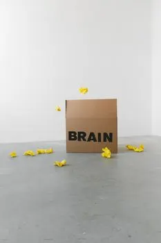 Stupido — Stupid