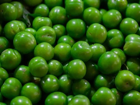 фрукты — das Obst