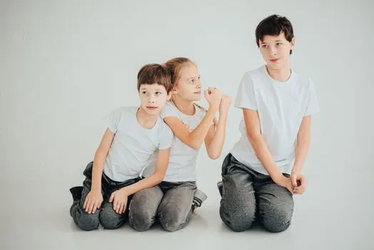 соперничество между братьями и сестрами — Sibling rivalry