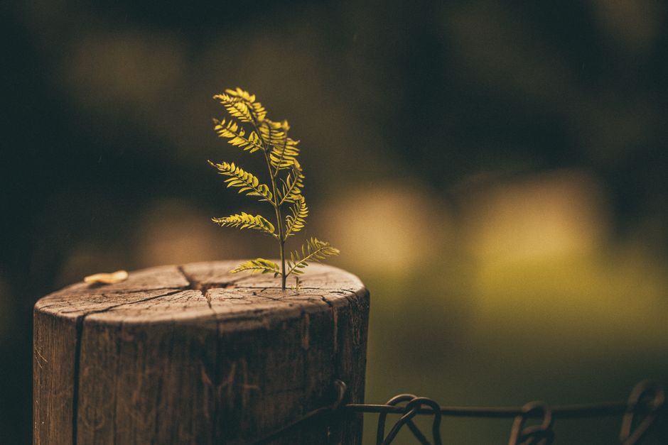 withstanding — résistant à