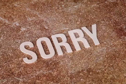 приносим извинения за — apologise for