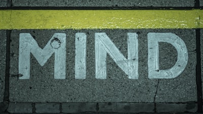état d'esprit — mind set