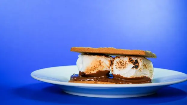 Зефир на костре — Smores