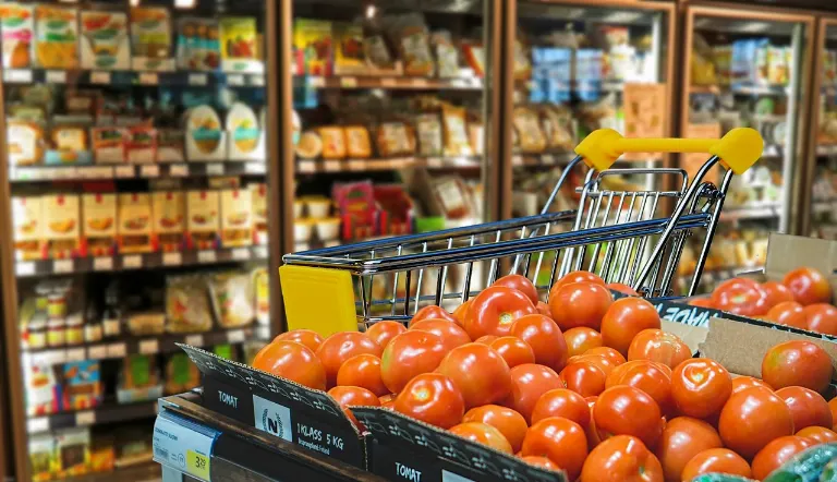 grocery — épicerie