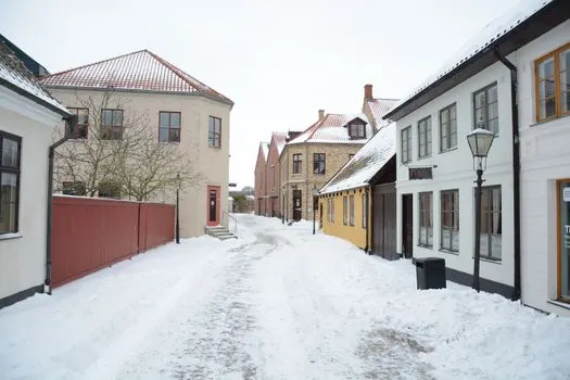 januar — ianuarie