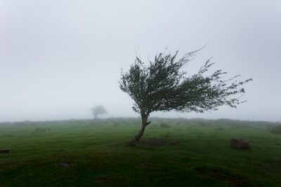 wind — vent