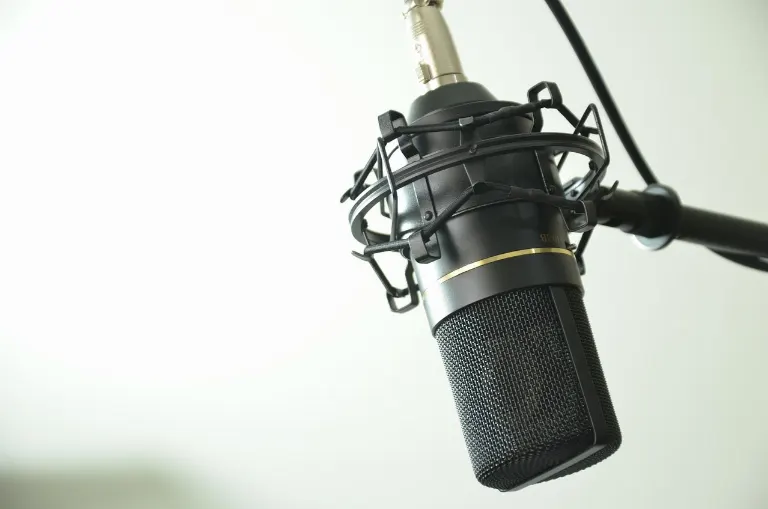 microphone — microphone
