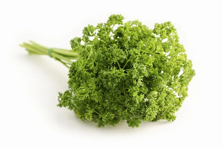 parsley — persil