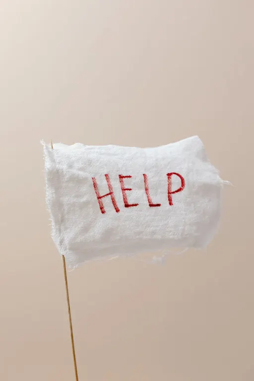 beige flag — bandera beige
