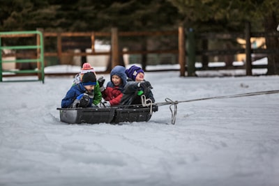 Sledge — traîneau